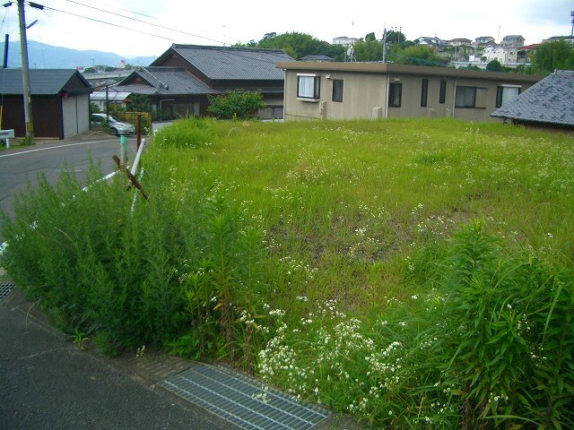 2011-07-06 13.17.56