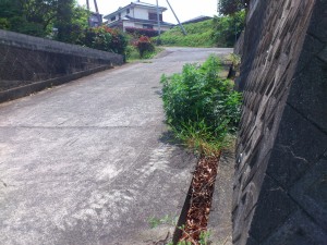 持ち分道路